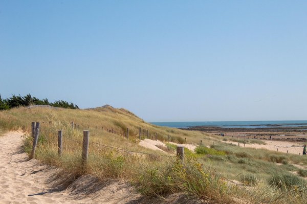 Camping Vannes : Quels sont les campings qui acceptent les animaux de compagnie?