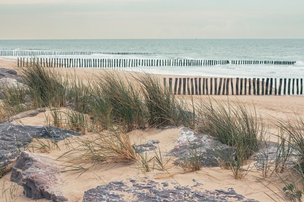 Explorer les meilleurs campings 4 étoiles en Vendée pour des vacances en famille