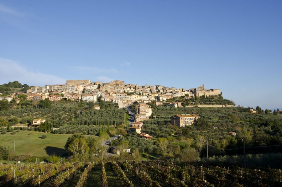 Traditions et culture a découvrir lors d un séjour dans le Morbihan